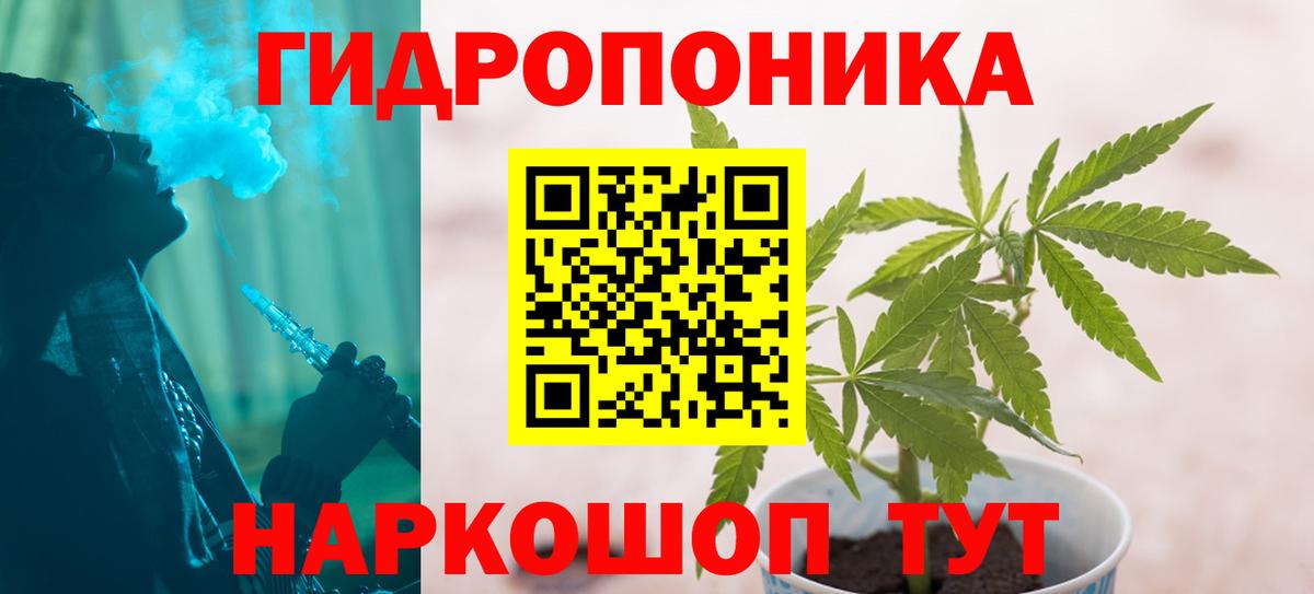 Отрадное  Бошки марихуана семена  Бошки марихуана тримм  Вход с VPN  Шишки марихуана сатива 